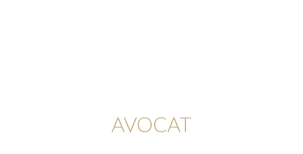 https://minier-avocat-carpentras.fr/wp-content/uploads/2021/08/logo_white.png